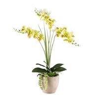 Kunstpflanze Orchideen Braun/Gelb/Grau/Grün, 55 cm - Gelb/Braun, Design, Kunststoff/Stein (55cm) - P & B