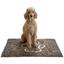 Podložka Pre Domáce Zviera Doggy - sivá/biela, textil (70/100cm) - Mömax modern living Podložka Pre Domáce Zviera Doggy - sivá/biela, textil (70/100cm) - Mömax modern living