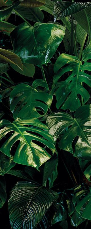 Vliestapete Tropical Wall Panel - Grün, Basics (100/250cm) - Komar