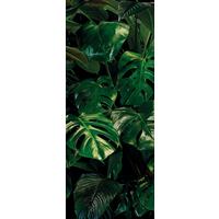Vliestapete Tropical Wall Panel - Grün, Basics (100/250cm) - Komar
