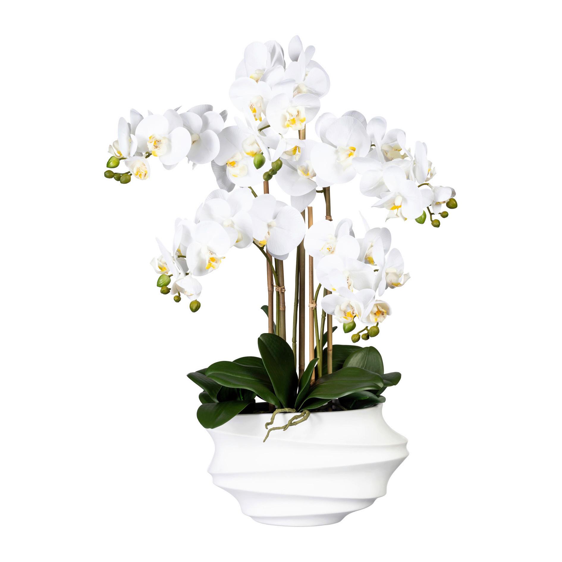 Kunstpflanze Orchidee Weiß H: 75 cm mit Topf - Weiß/Braun, Trend, Kunststoff (75cm) - P & B