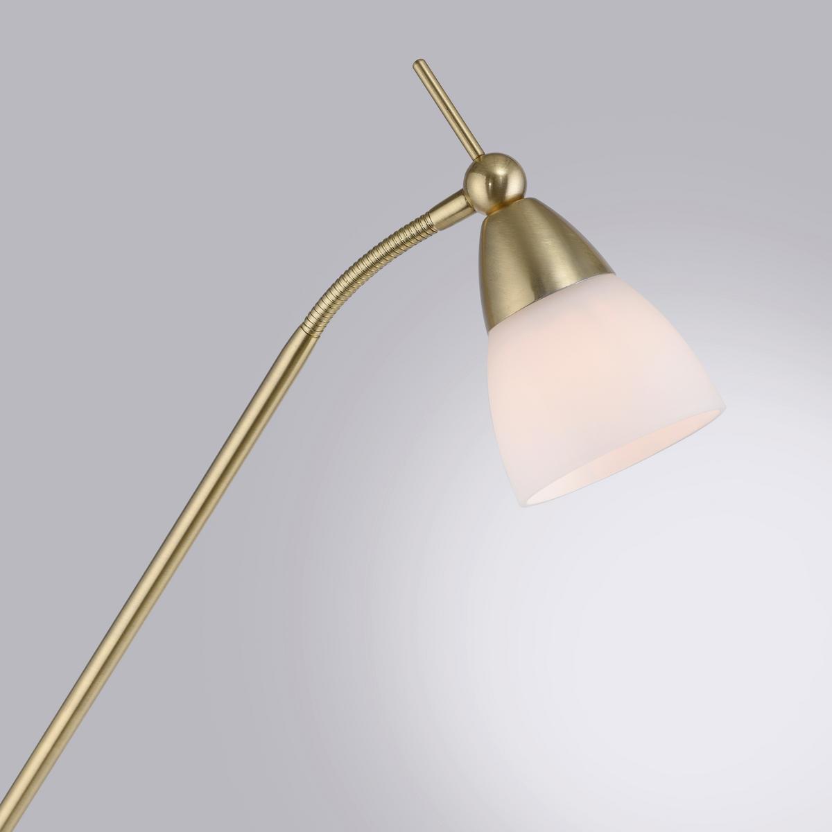 LED-Stehleuchte 400-60 Pino - Messingfarben, Basics, Glas/Metall (74/74/163cm) - Paul Neuhaus
