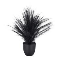 Umělá rostlina PAMPASGRAS I - černá, Basics, plast (14,5/63cm) - Mömax