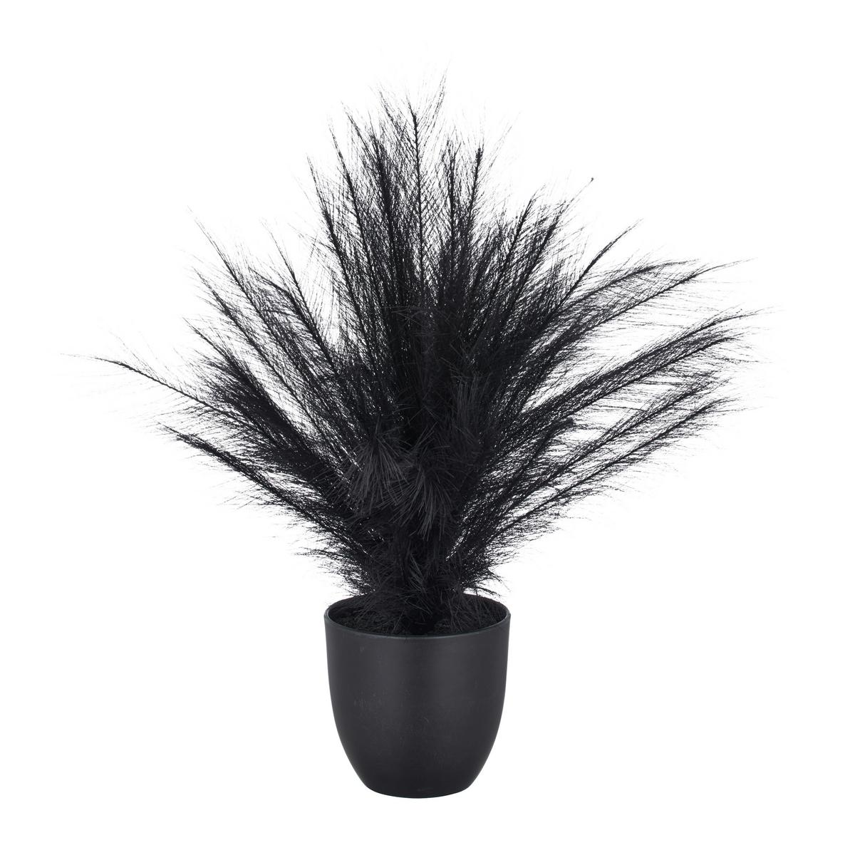 Umělá rostlina PAMPASGRAS I - černá, Basics, plast (14,5/63cm) - Mömax