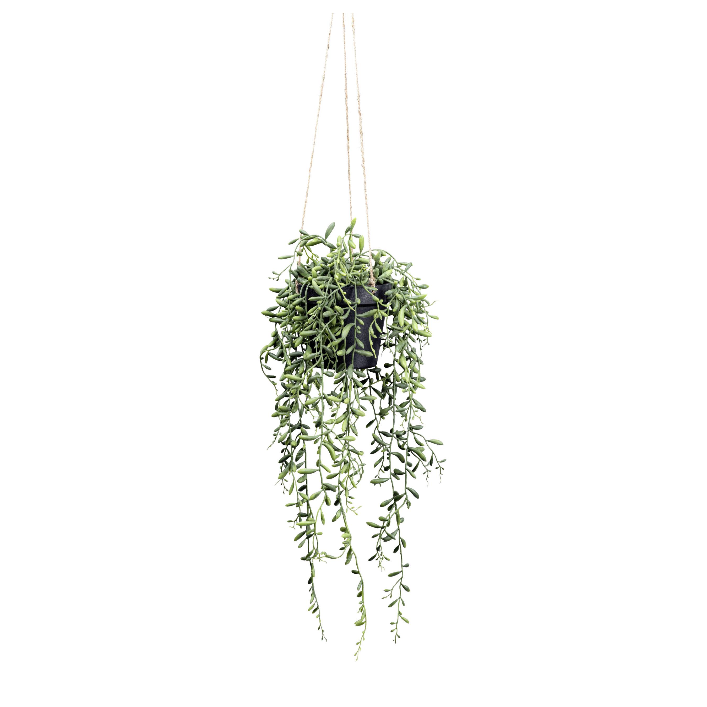 Kunstpflanze, Hängepflanze inkl. Aufhängung, H: 55 cm - Schwarz/Grün, Design, Kunststoff (55cm) - P & B