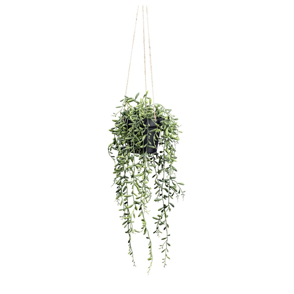 Kunstpflanze, Hängepflanze inkl. Aufhängung, H: 55 cm - Schwarz/Grün, Design, Kunststoff (55cm) - P & B