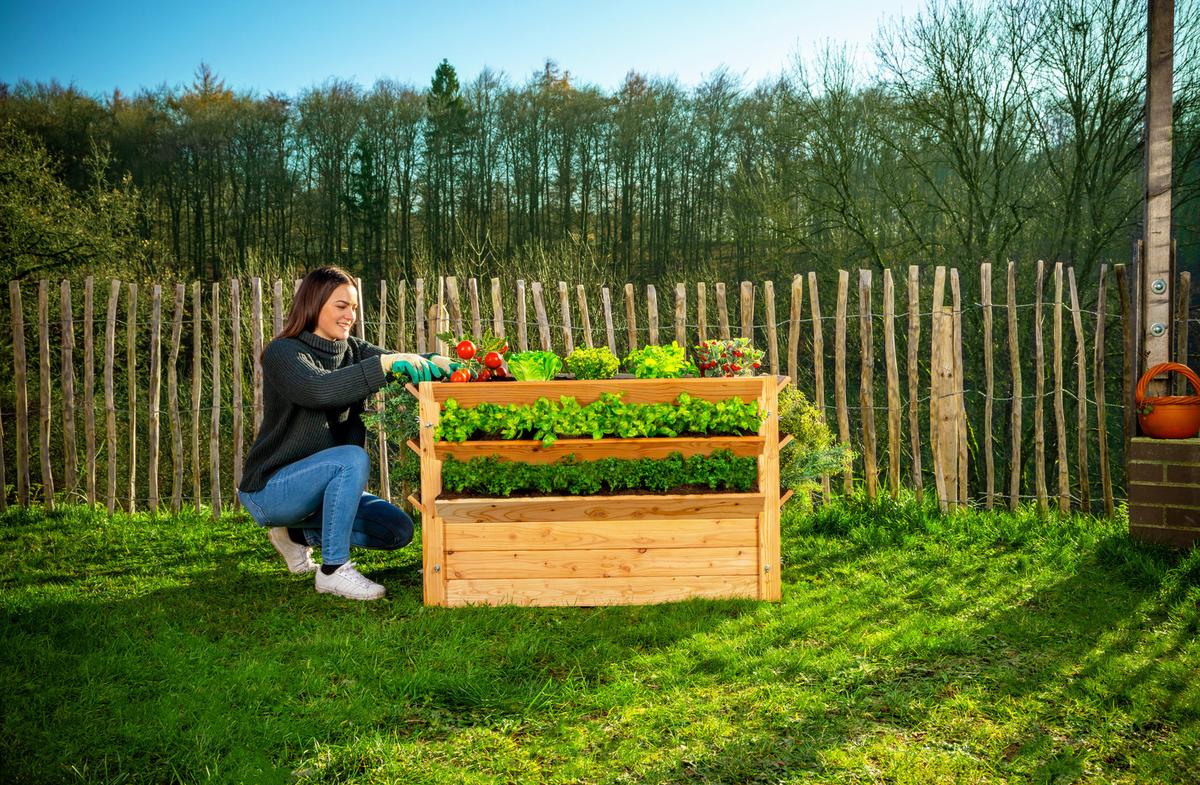 Hochbeet Echtholz Lärche 124x73x91 Cm Lärchefarben - Lärchefarben, Basics, Holz (124/73/91cm)