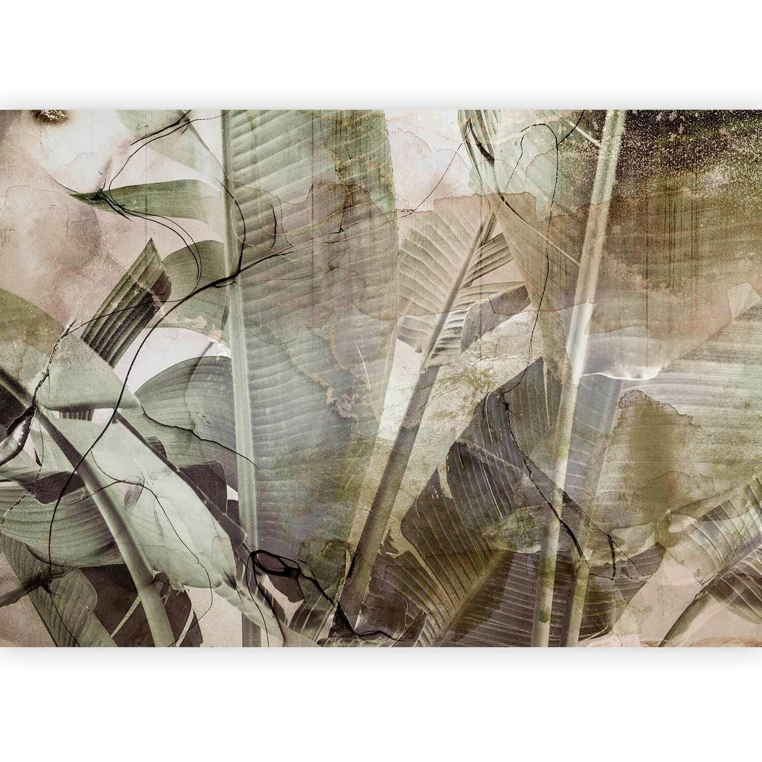 Fototapete Salbeigrün Grauweiß B: 400 cm - Salbeigrün/Grauweiß, Basics, Textil (400/280cm) - artgeist
