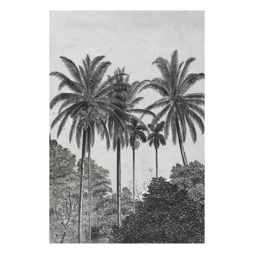 Fototapete Palmen Gravur - Schwarz/Weiß, Basics, Papier/Kunststoff (200/280cm)