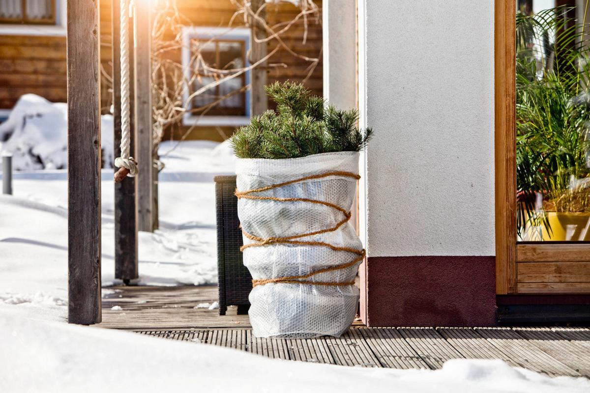 Winter-kälteschutzfolie, 500x100cm, Witterungsbeständig - Transparent, Basics, Kunststoff (100/500cm) - Windhager