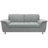 2-sitzer-sofa Kopfteil Verstellbar Franzi Mintgrau - Chromfarben/Mintgrün, KONVENTIONELL, Textil (190/81/105cm) - MID.YOU