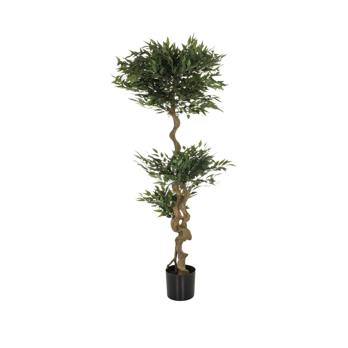 Kunstpflanze Grün L: 155 Cm, Acacia - Schwarz/Braun, Basics, Kunststoff/Textil (45/155/45cm) - MID.YOU