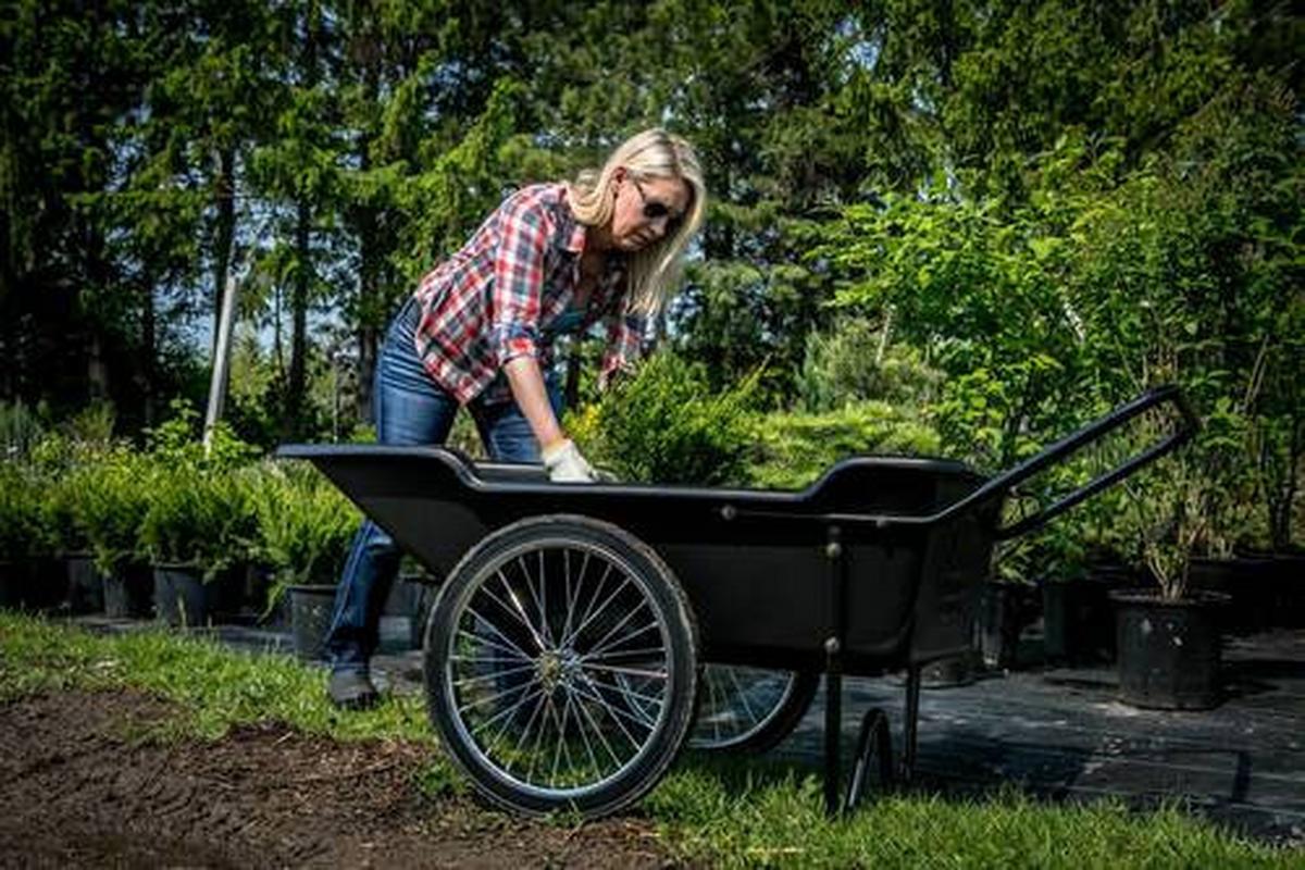 Gartenkarre Premium Schubkarre - Schwarz, Basics, Kunststoff (74/74/165cm)