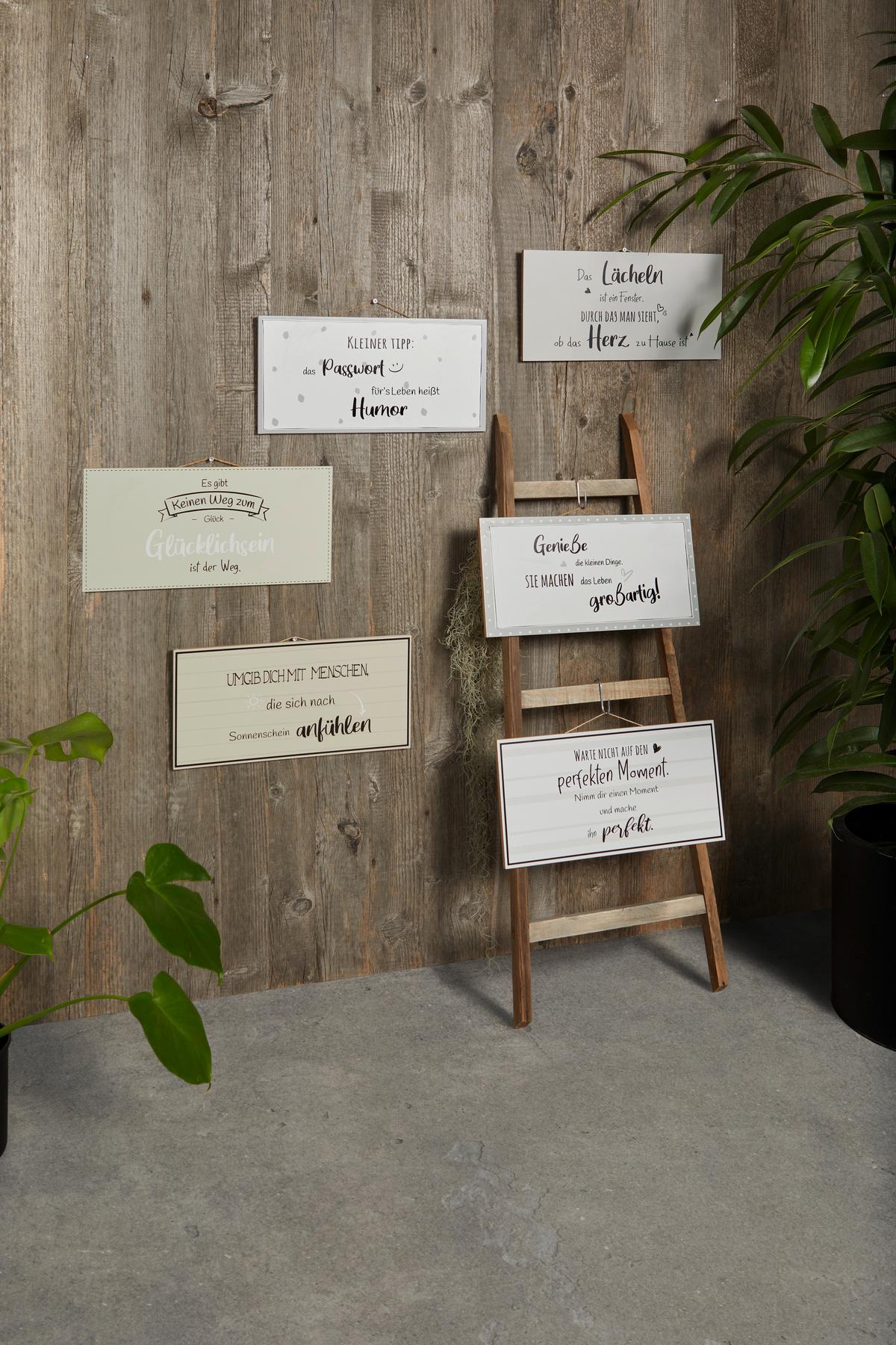 Dekoschild 2020850 Aafke - Beige/Schwarz, Basics, Holzwerkstoff (40/20/1cm)