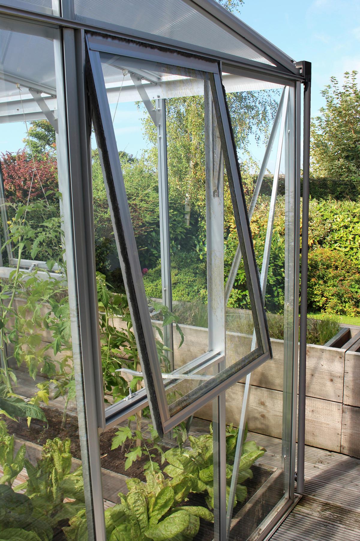 Gewächshaus-seitenfenster H Esg-Glas, Alufarb. 55,4x87,6cm - Alufarben, Basics, Glas/Metall (55,4/87,6cm)