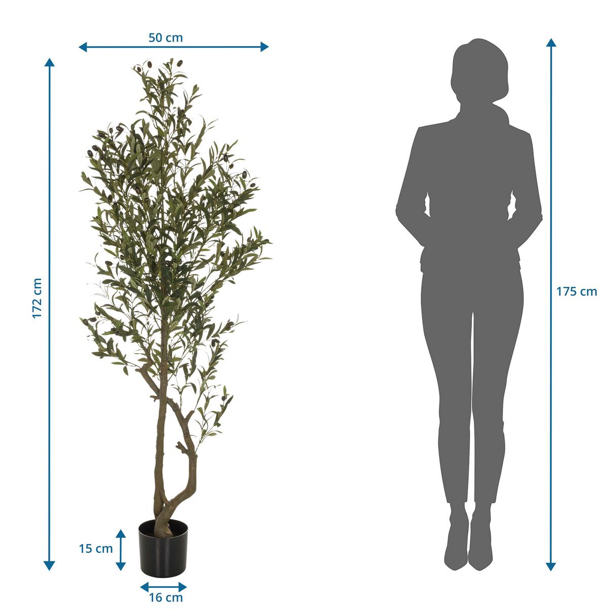 Kunstpflanze Olive I - Schwarz/Braun, Basics, Kunststoff (50/172/50cm) - MID.YOU
