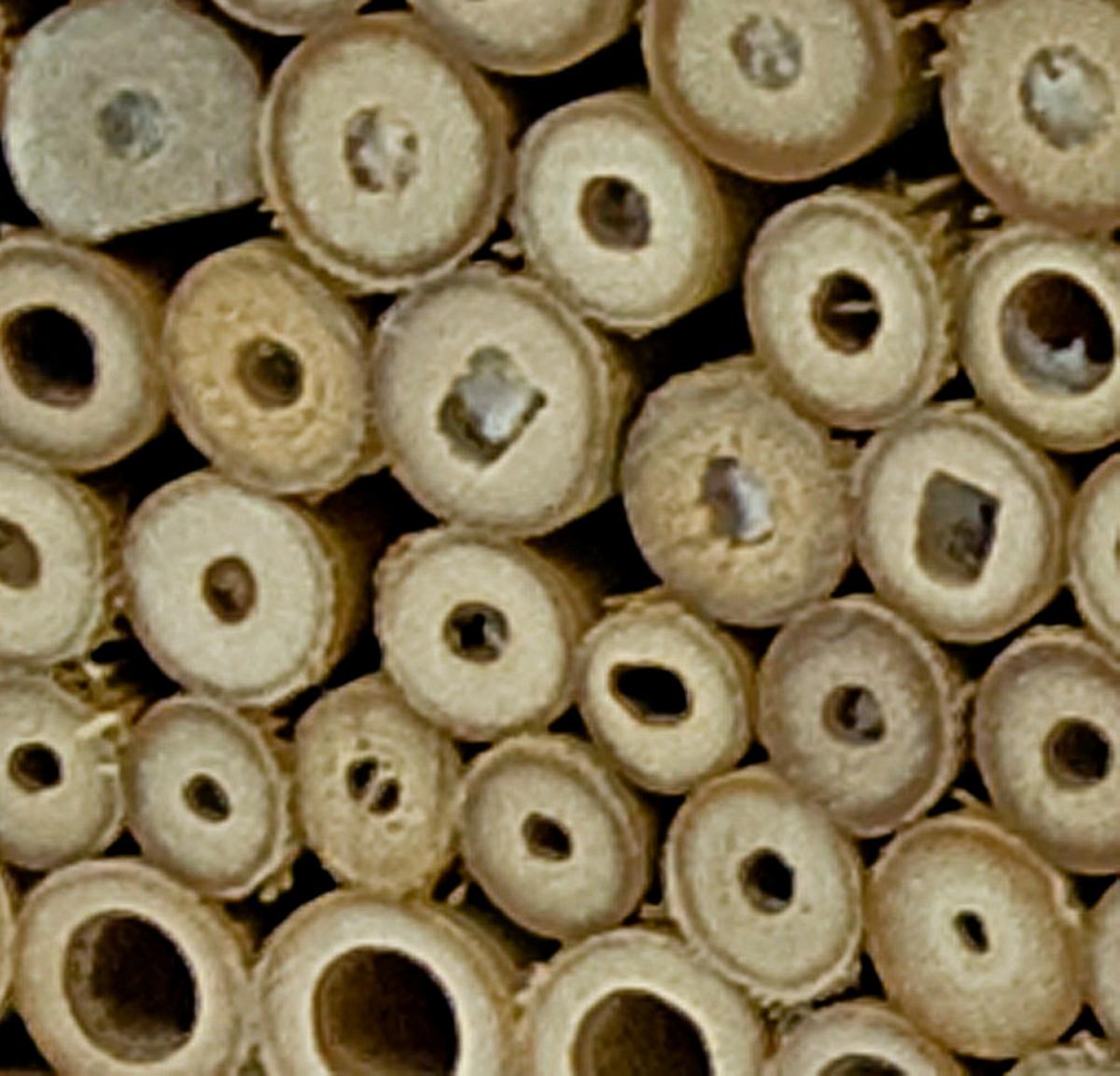 Insektenhotel Zur Post - Naturfarben, Basics, Holz (20/12/27cm)