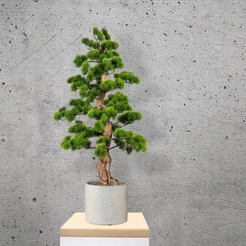 Kunstpflanze Bonsai Grün L: 110 cm mit Topf - Schwarz/Braun, Basics, Kunststoff (50/110cm) - P & B