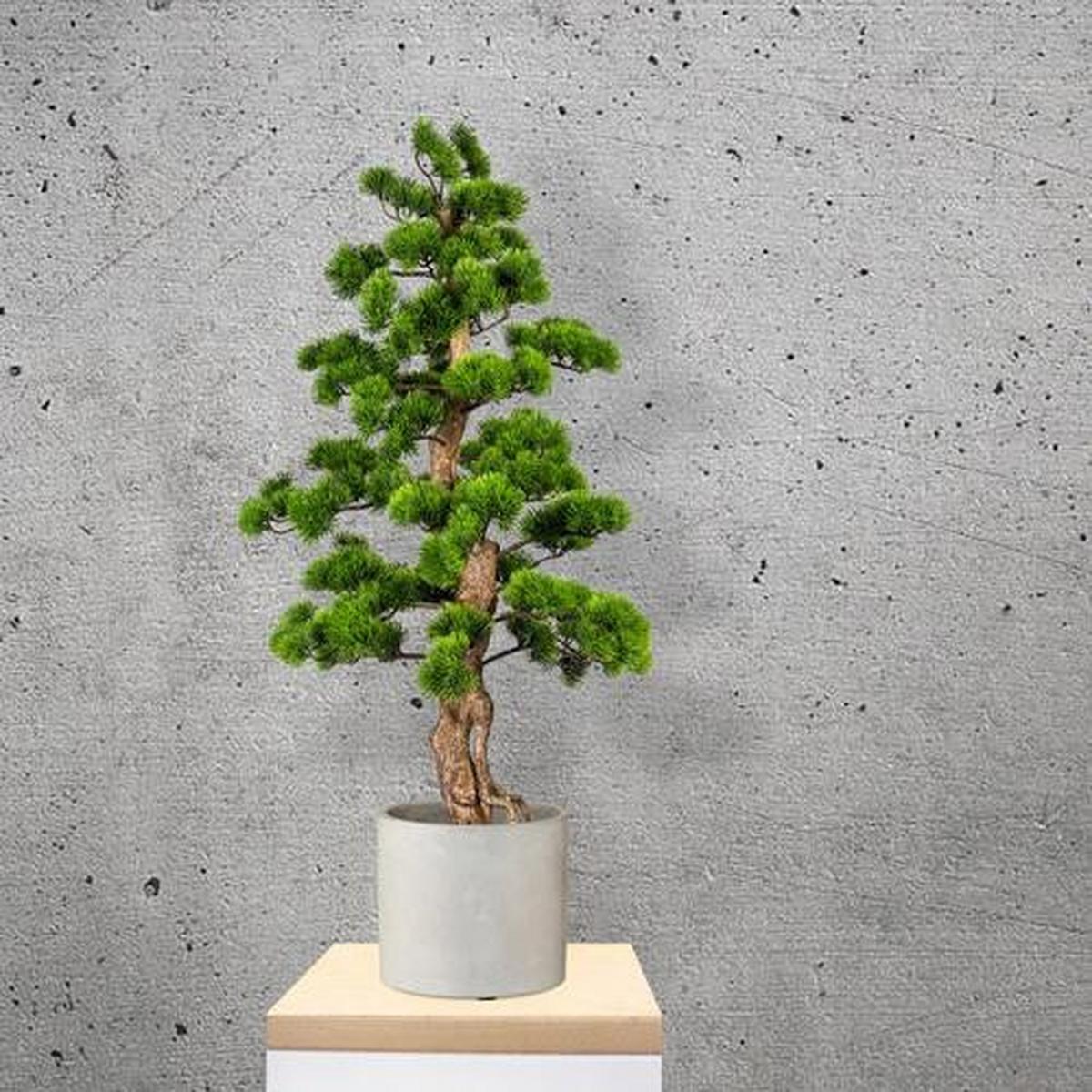 Kunstpflanze Bonsai Grün L: 110 cm mit Topf - Schwarz/Braun, Basics, Kunststoff (50/110cm) - P & B