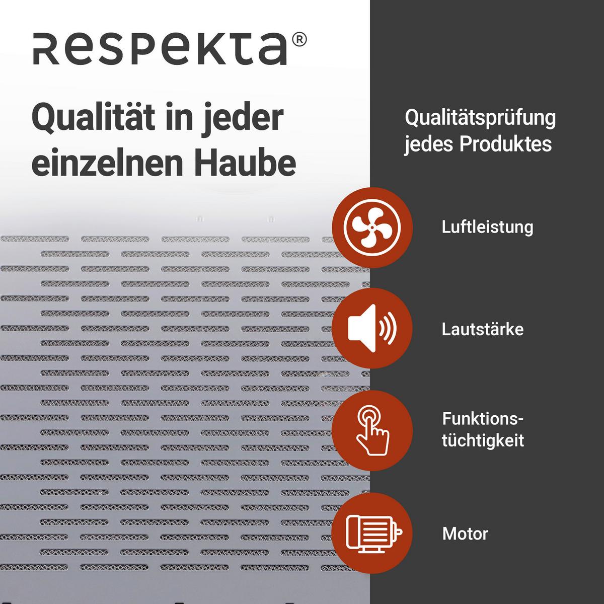 Dunstabzugshaube Suna Edelstahlfarben B: 60 cm, Led - Edelstahlfarben, Trend, Metall (60/7,6/47cm) - Respekta