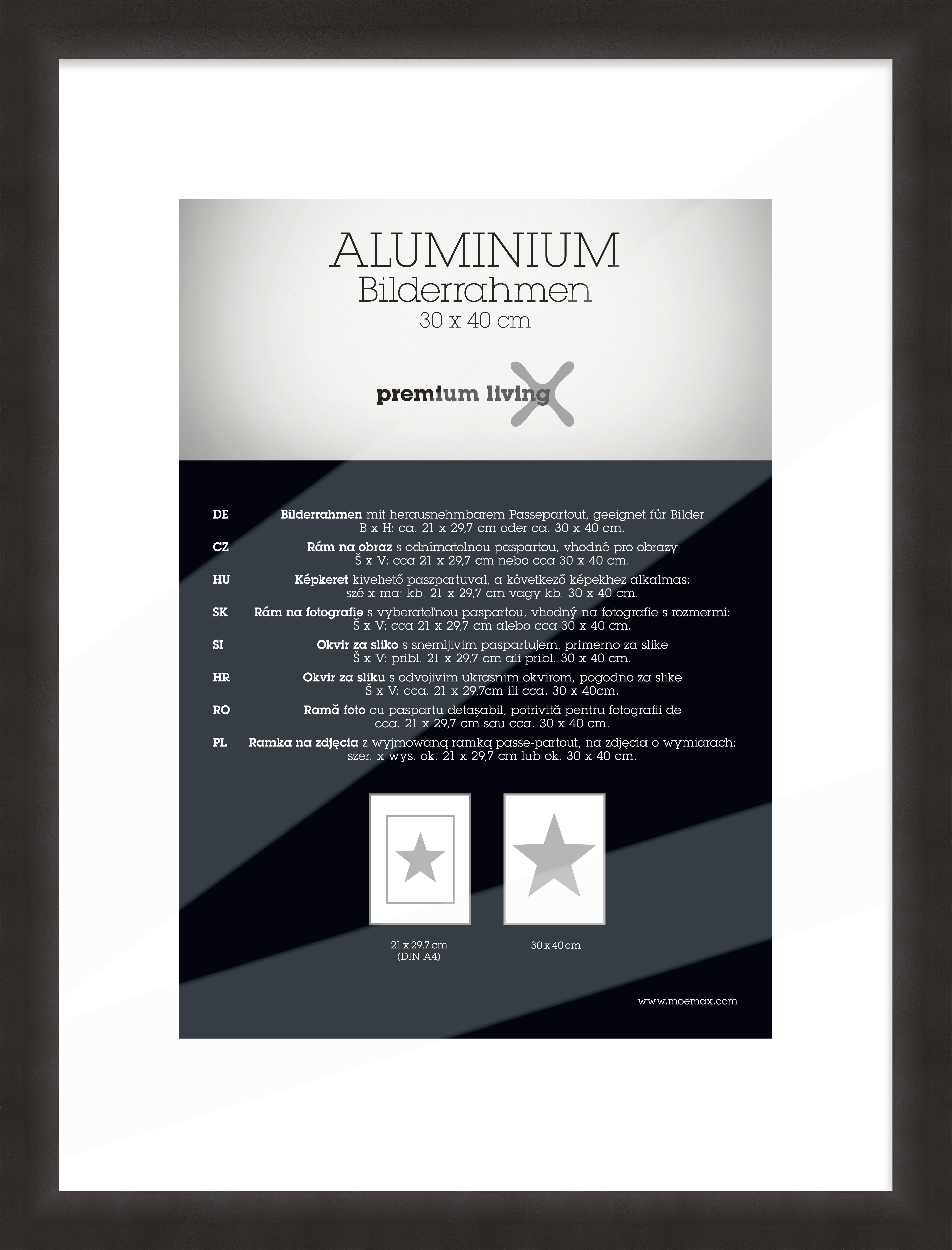 Rám na obrazy 33,1/43,1 cm - čierna, Basics, kov (33,1/43,1/2.2cm) - Premium Living