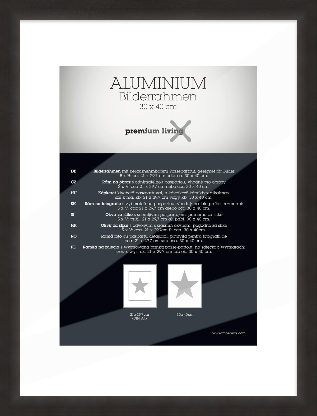 Rám na obrazy 33,1/43,1 cm - černá, Basics, kov (33,1/43,1/2.2cm) - Premium Living