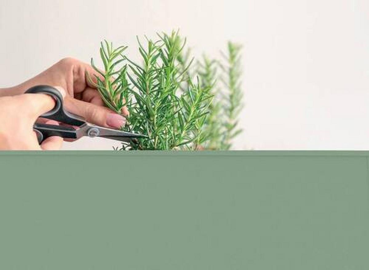 Hochbeet Hochbeet Urban - Grün, Basics, Metall (40/84/100cm)