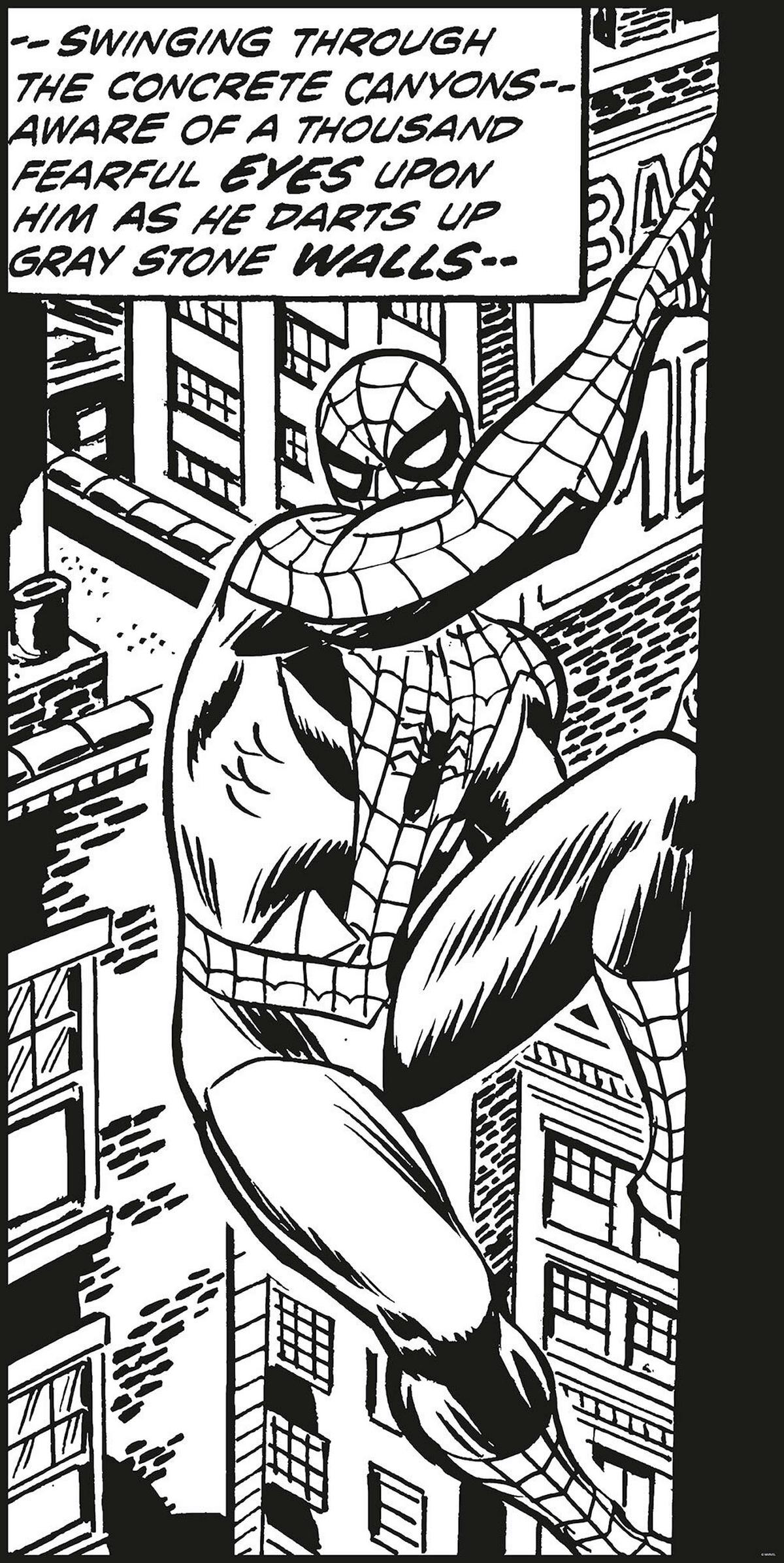 Fototapete Spider-Man Classic Climb - Schwarz/Weiß, Trend, Textil (100/200cm)