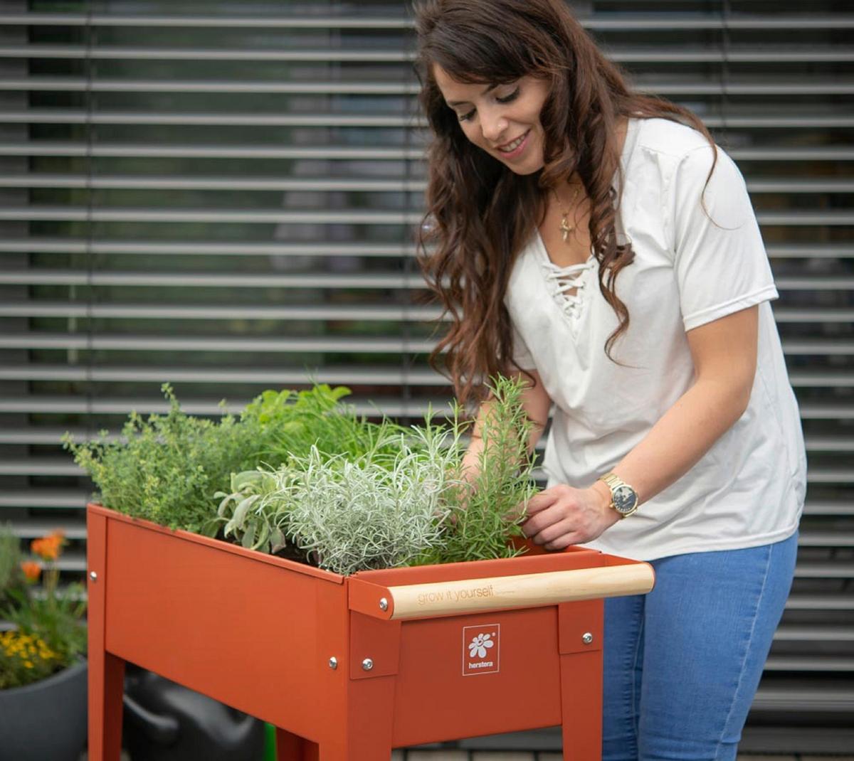 Hochbeet Stahl Kräuterfabrik mit Rollen 35x80x75 cm Rot - Rot, Basics, Metall (35/80/75cm)