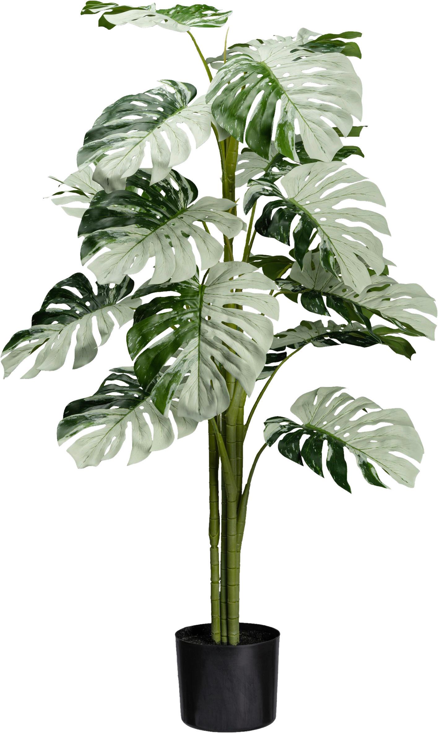 Kunstpflanze H: 115 cm - Schwarz/Weiß, Design, Kunststoff (115cm)