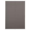 Plissee Free Hellgrau B: 100 cm - Hellgrau, Basics, Textil (100/130cm) - Homeware