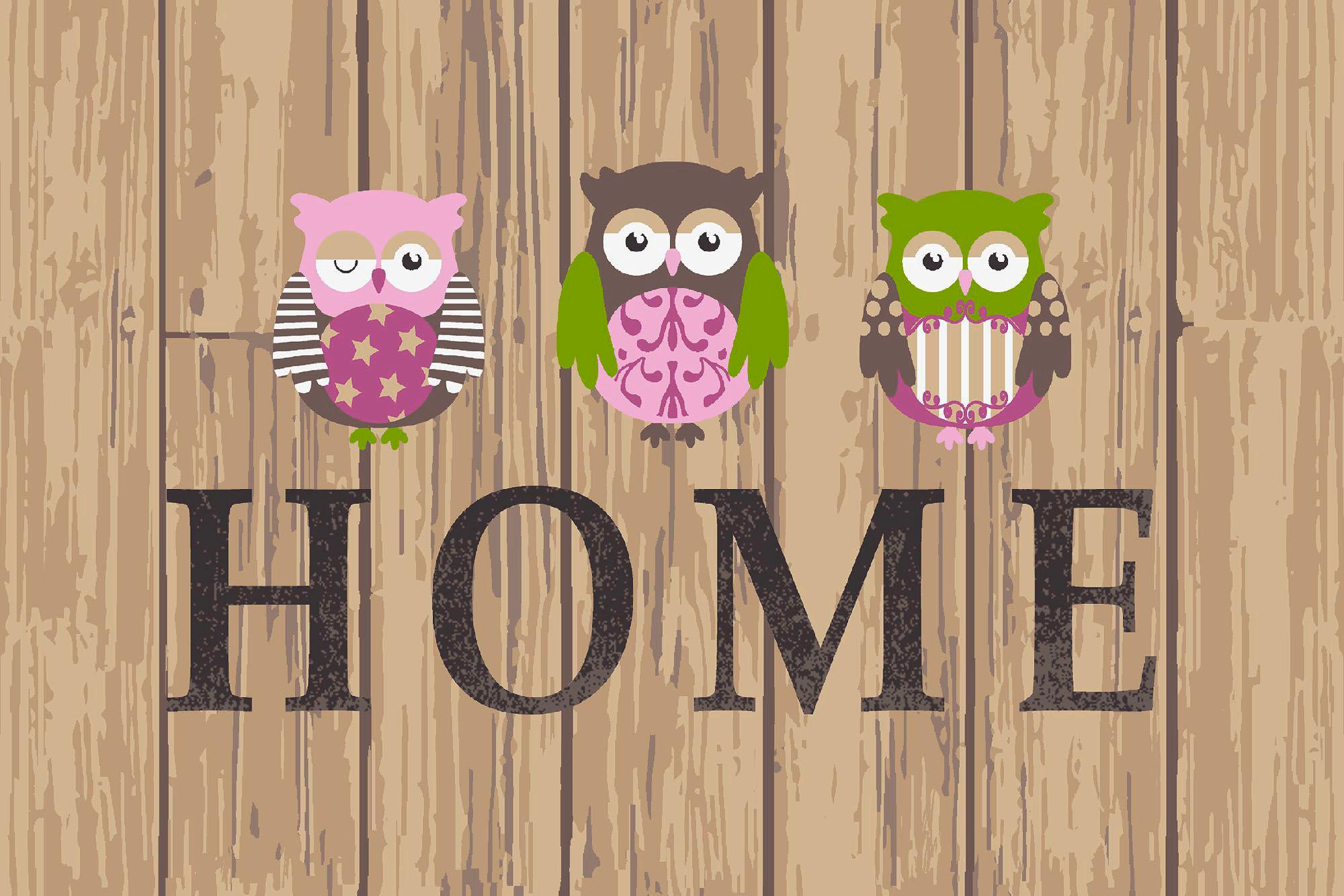 Fußmatte Hedwig 40x60 cm Eulenmotiv Rutschfest - Multicolor, Basics, Textil (40/60cm) - Homezone