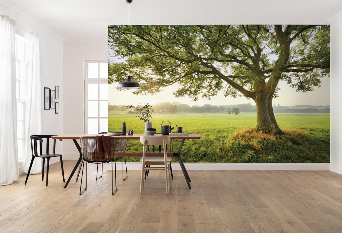 Fototapete The Magic Tree - Multicolor, Trend, Textil (450/280cm)