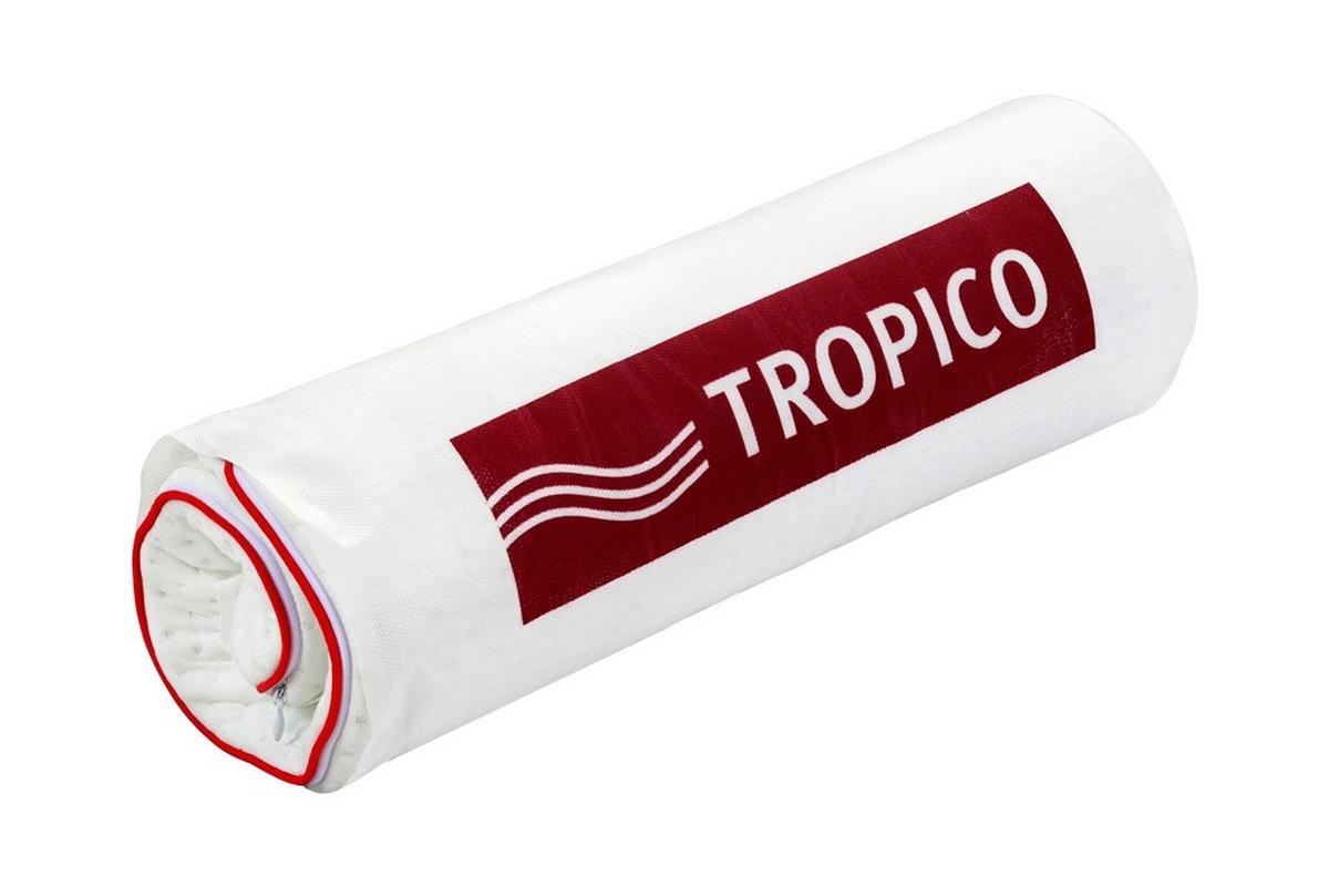 ŠIJOVÝ VANKÚŠ TOM EUCALYPTUS 54X40X11 - biela, Modern, textil/papier (40/54/11cm)