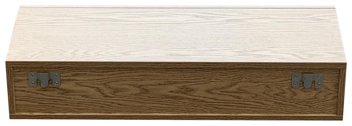 NÁSTĚNNÁ KONZOLA NOAH -TREND- - přírodní barvy, Moderní, kompozitní dřevo (60/12/22cm) - Mömax
