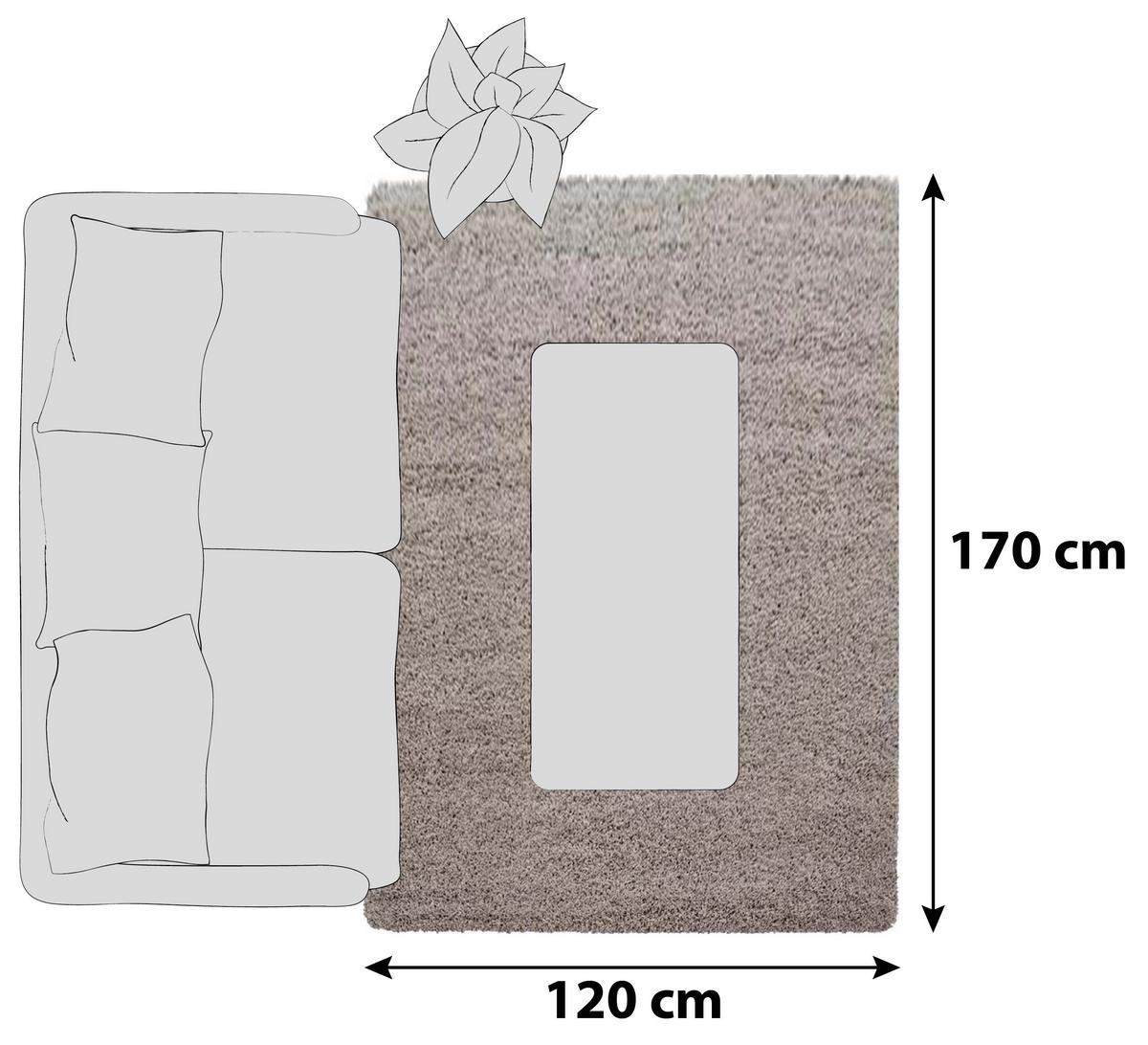 Hochflor Teppich Beige Dream 120x170 cm - Beige, KONVENTIONELL, Textil (120/170cm)