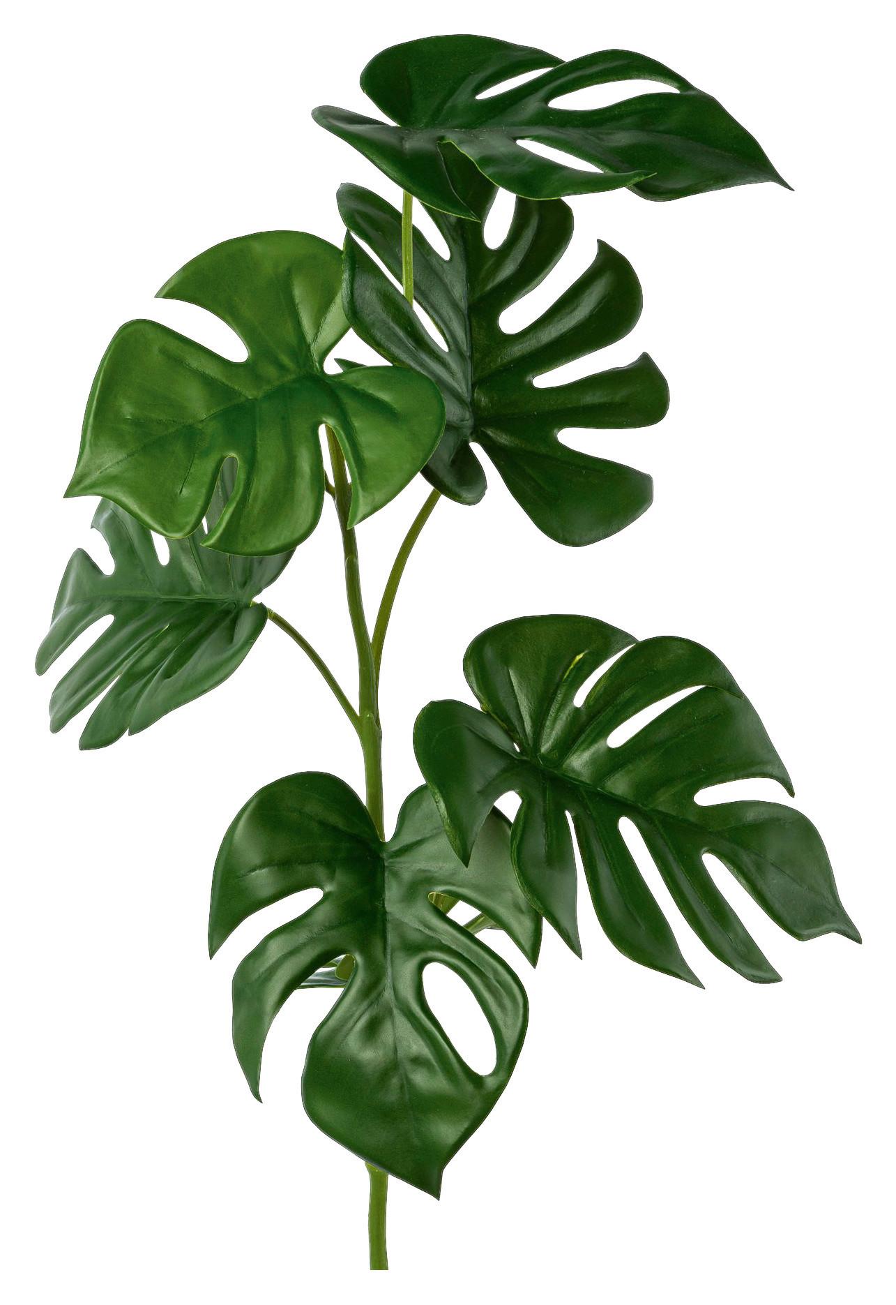 Kunstpflanze Philodendron Grün L: 71 cm, Gertrud - Grün, Basics, Kunststoff (71cm)