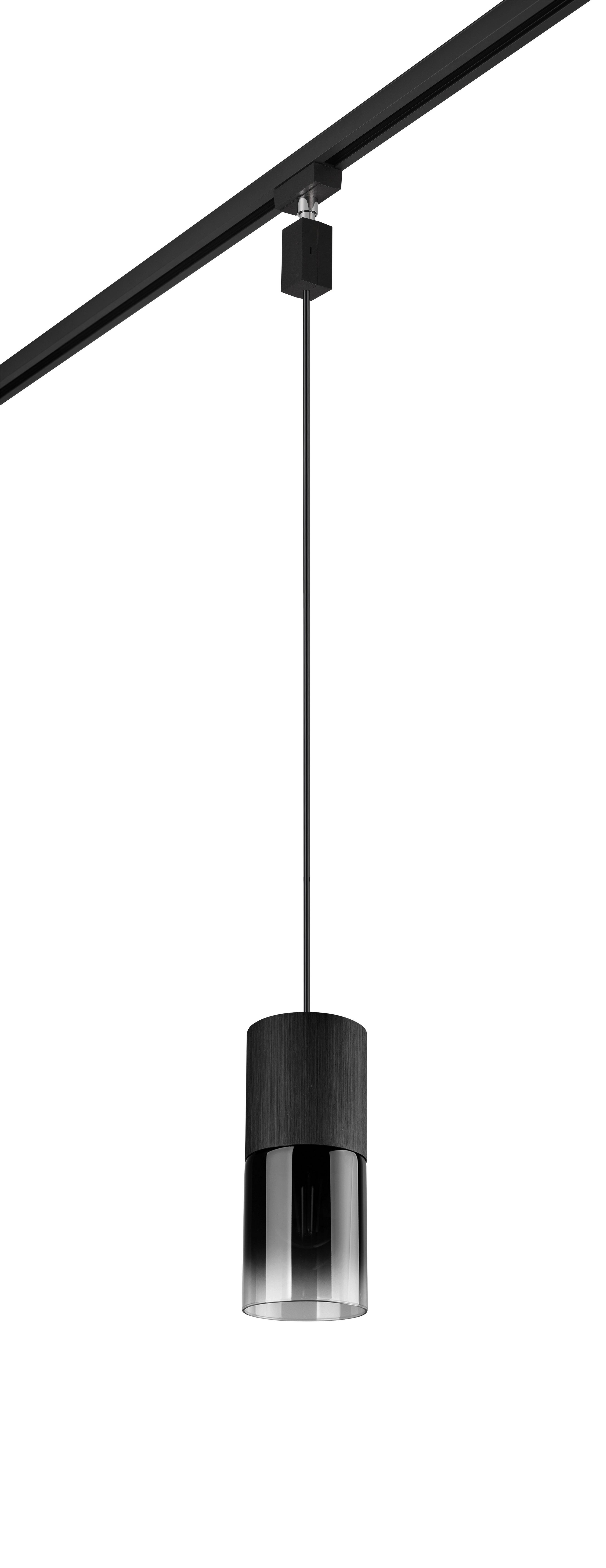 SCHIENENSYSTEM-HÄNGELEUCHTE 73060132 DUOLINE ROBIN - Schwarz/Grau, KONVENTIONELL, Glas/Metall (10/180cm) - Trio Leuchten
