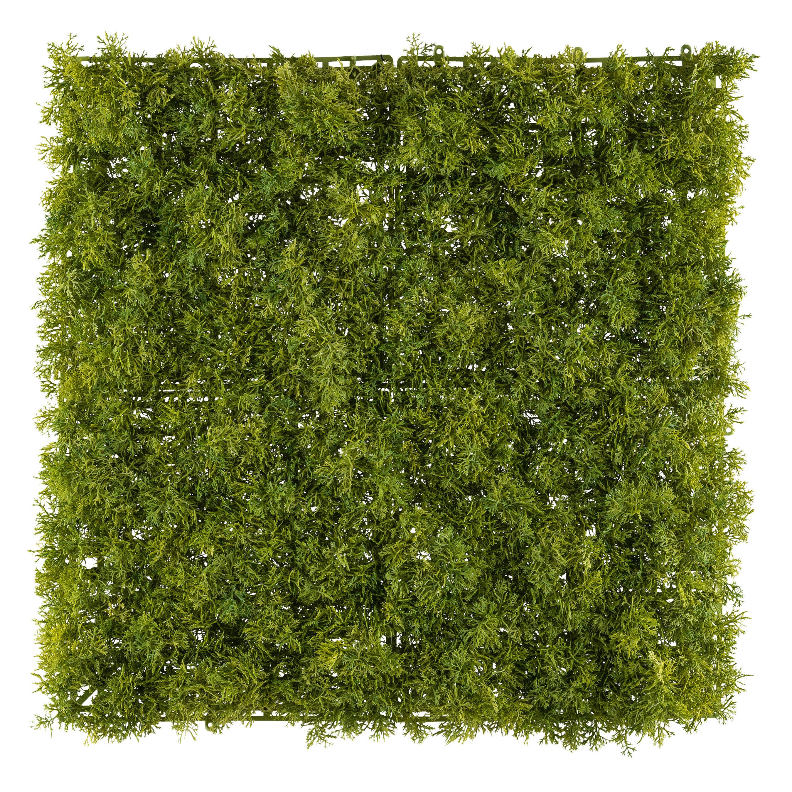 Kunstpflanze Grün, 50 cm - Grün, Design, Kunststoff (50cm) - P & B