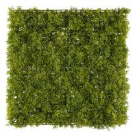 Kunstpflanze Grün, 50 cm - Grün, Design, Kunststoff (50cm) - P & B