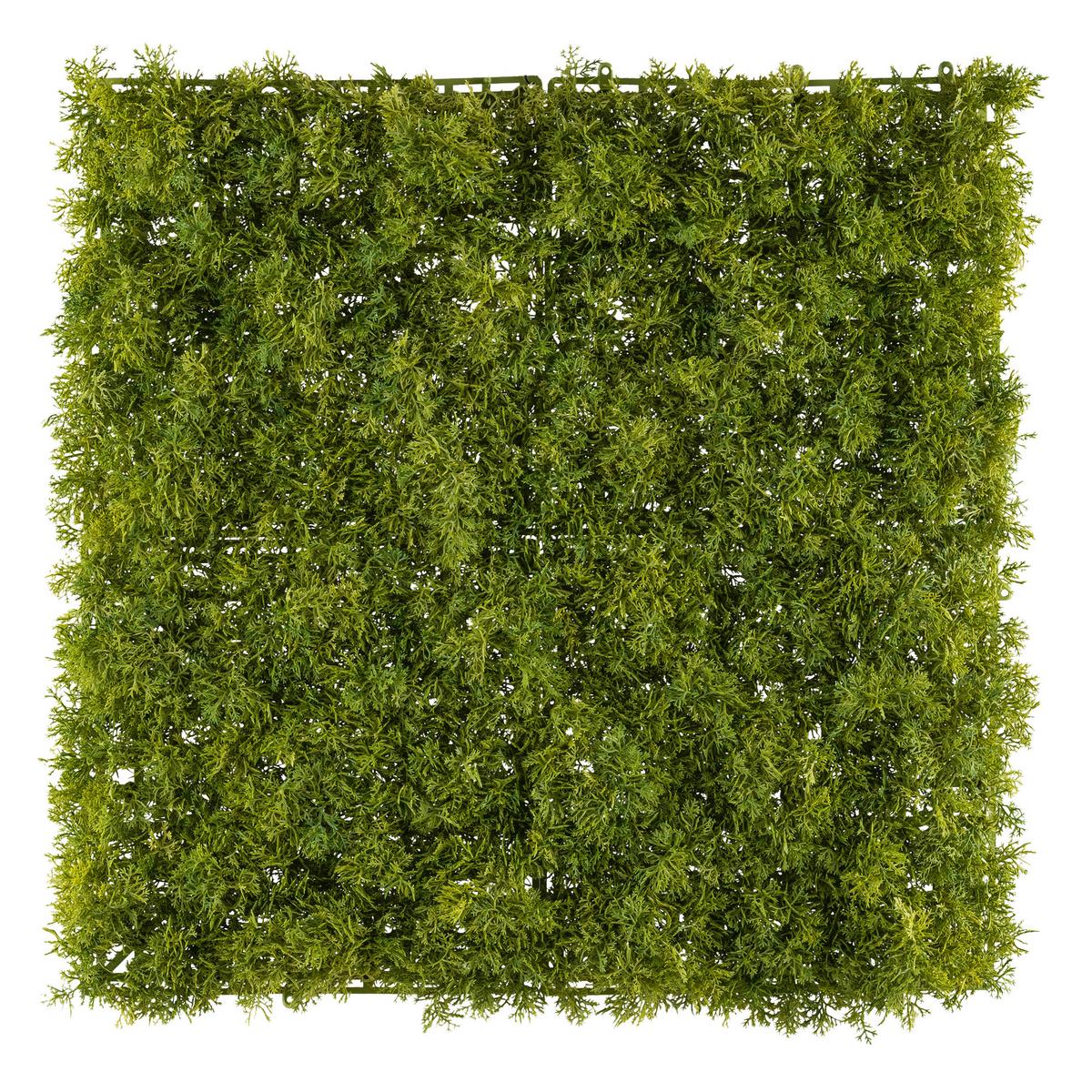Kunstpflanze Grün, 50 cm - Grün, Design, Kunststoff (50cm) - P & B