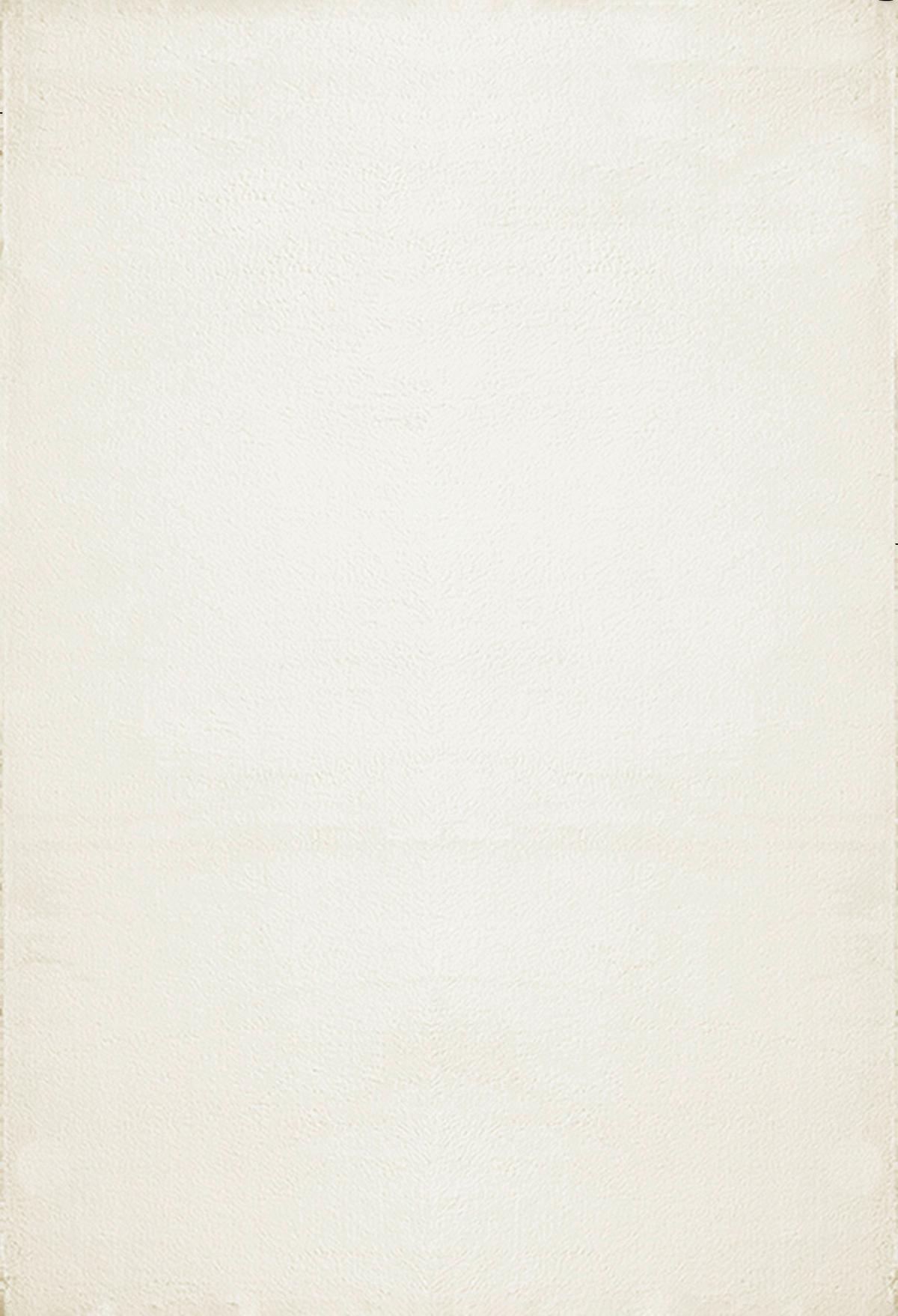 Fellteppich Loft - Creme, KONVENTIONELL, Textil (60/110cm)