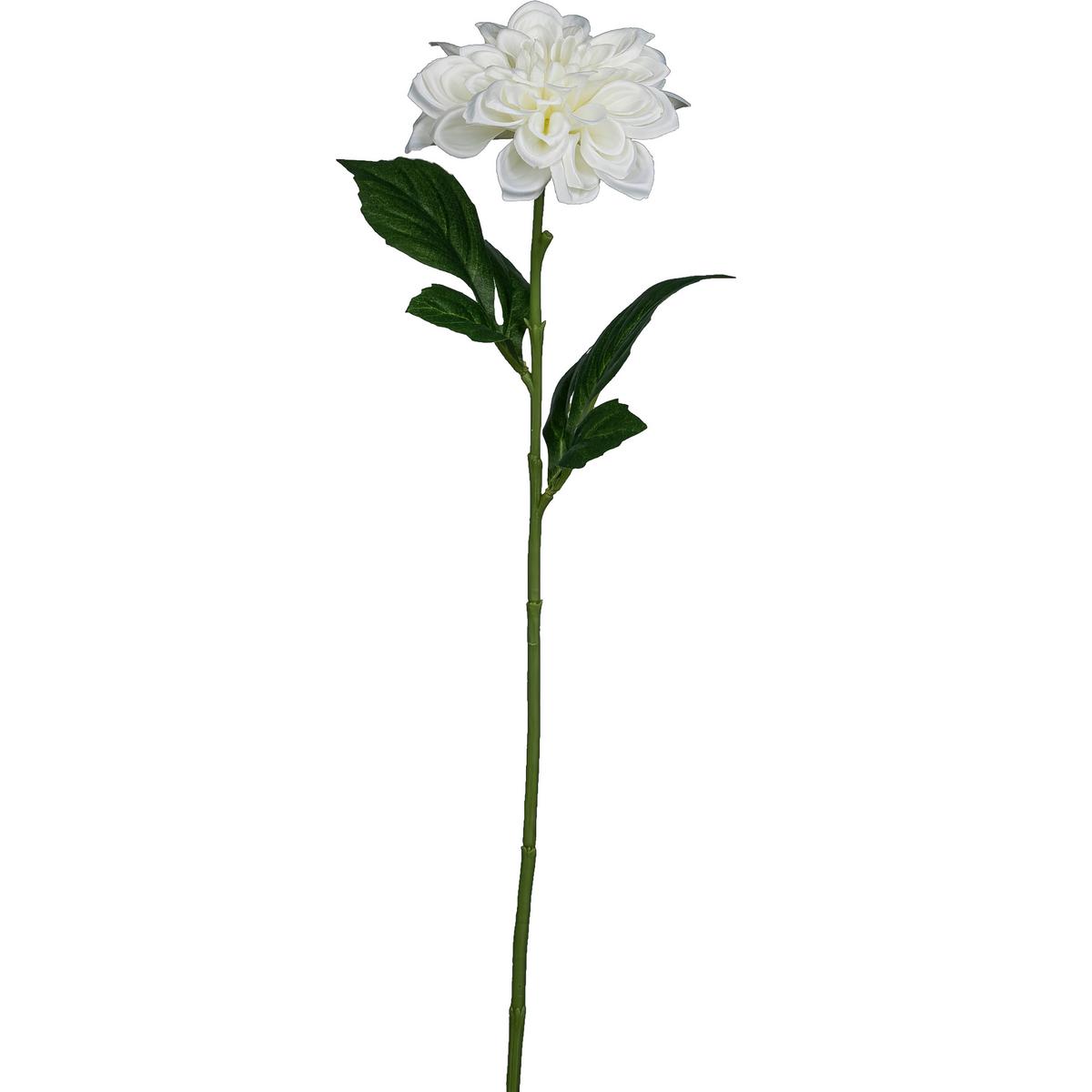 Dekozweig Klara - Weiß/Grün, Basics, Kunststoff (55cm)