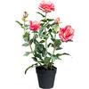 Kunstpflanze, Rose inkl. Topf, H: 58 cm - Pink/Schwarz, Design, Kunststoff (58cm) - P & B