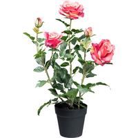 Kunstpflanze, Rose inkl. Topf, H: 58 cm - Pink/Schwarz, Design, Kunststoff (58cm) - P & B