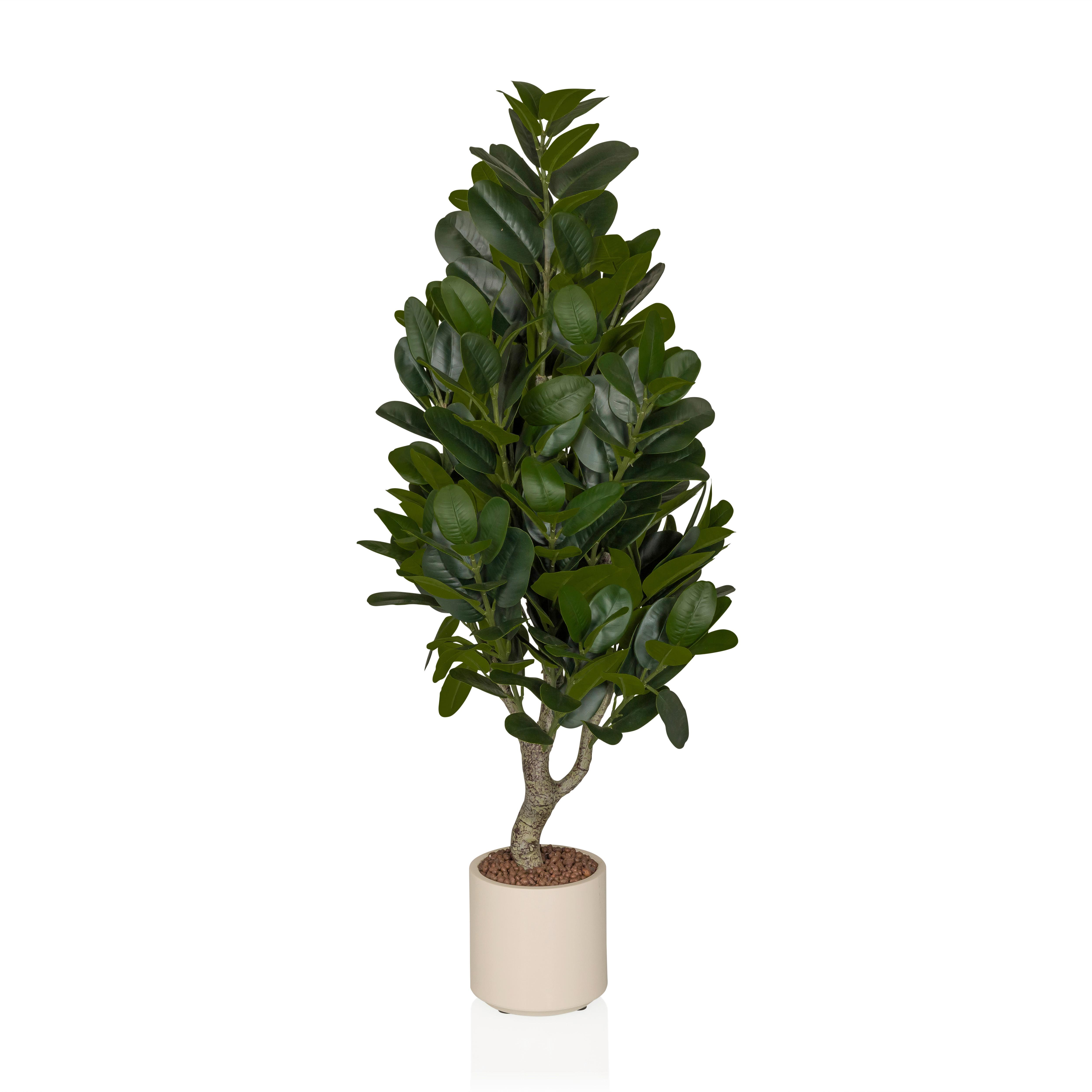 KUNSTPFLANZE Garcinia Creme B: 50cm - Creme/Grün, MODERN, Kunststoff (50/120/50cm) - MID.YOU