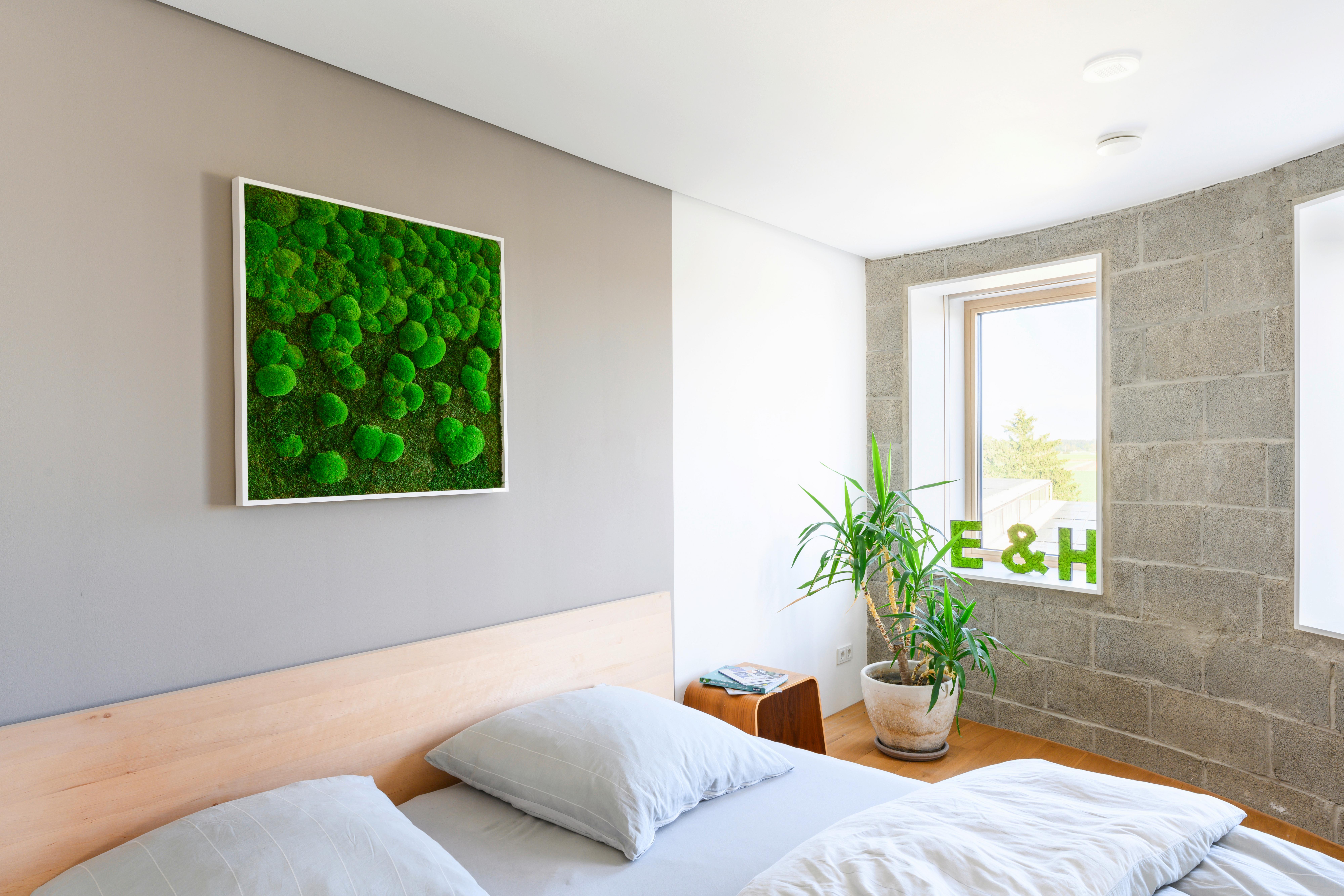 Moosbild Grün B: 80 Cm - Weiß/Grün, Basics, Naturmaterialien/Holz (80/80/7cm)