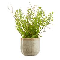 Obal na květináč Mood, Ø/V: 6,5/6,5cm - béžová, keramika (6,5/6,5cm) - Modern Living