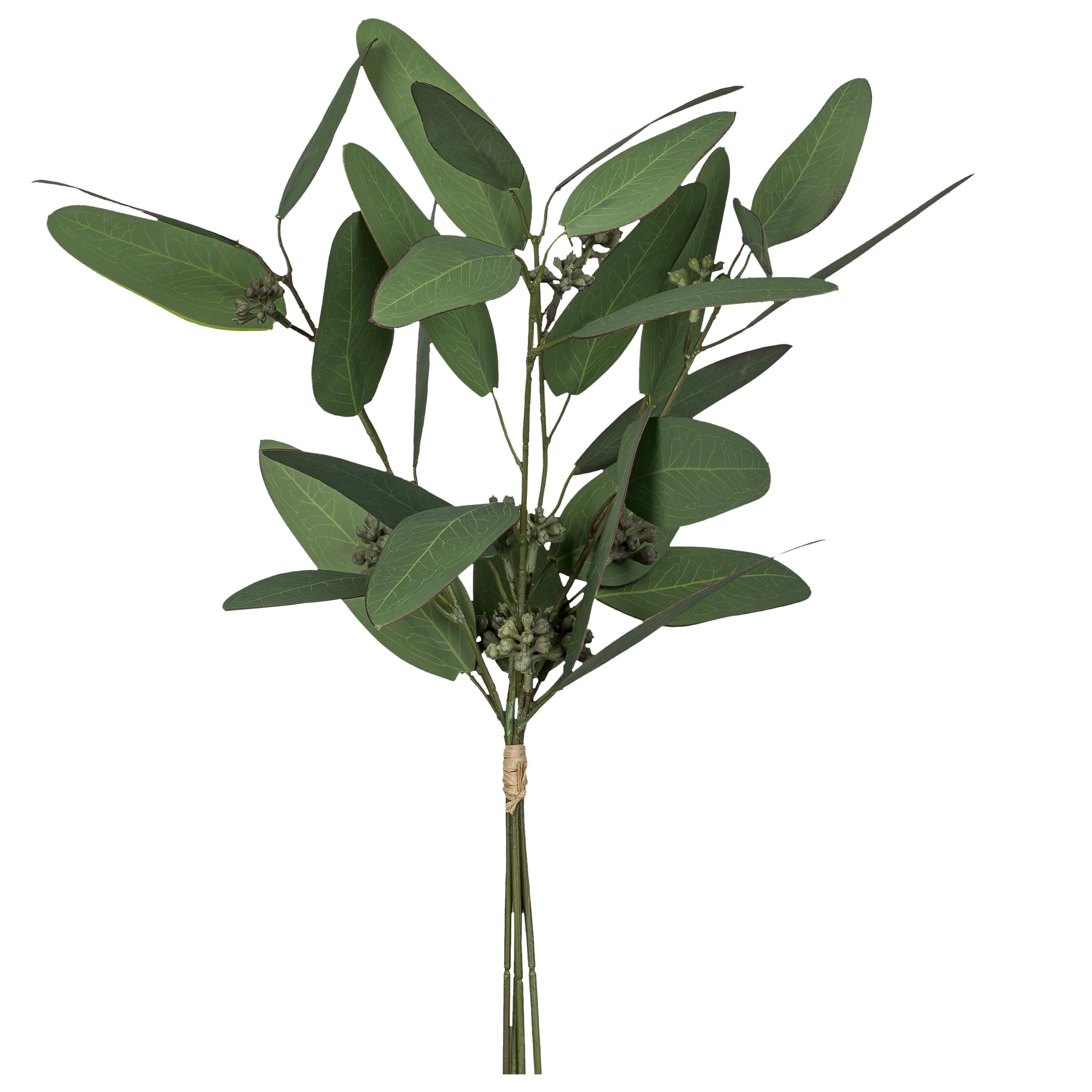 Umělá rostlina EUKALYPTUSBUND, V: 38 cm - šedá/zelená, Konvenční, plast (38cm) - Mömax