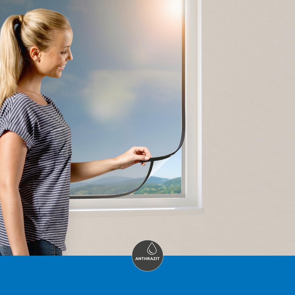 Fliegengitter BxH: 130x150 cm Anthrazit inkl. Sonnenschutz - Anthrazit, Basics (130/150cm)